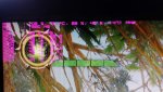 uploadfromtaptalk1436548450881.jpg
