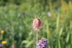IMG_6027.JPG