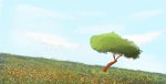 test.jpg