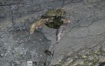 DayZ_2015_07_13_17_00_48_811.jpg