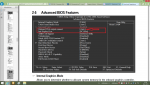 Grafikoptionen im BIOS bei MB mit integriertem Grafikchip.png