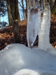 2012-02-05.jpg