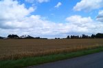 DSC02837.jpg