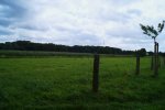 DSC02822-1.jpg