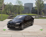 skoda1.png