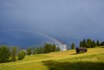 DSC_0924_WZ.jpg
