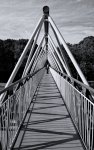 DSC03283.jpg