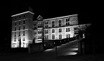 DSC03453.jpg