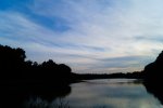 DSC03411.jpg