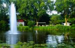 DSC03406.jpg