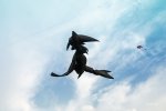 FlyPic1.jpg