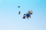 FlyPic3.jpg