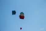 FlyPic6.jpg