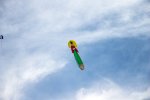 FlyPic8.jpg