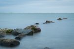 DSC_0218.jpg