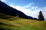 R0003638_s3.jpg