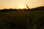 DSC_0107.jpg