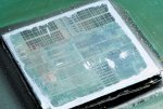 IntelCeleron_Prescott_SL9BR___2015-08-16-23.27.23_-_ZS-PMax_-_Stack-DSC03037-DSC03192.jpg