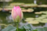 k-IMG_5715.JPG