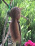 IMG_0827.jpg