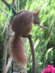 IMG_0829.jpg