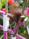 IMG_0845.jpg