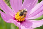 DSC_0179.jpg