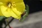 IMG_0475.jpg