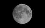 DSC03836.jpg