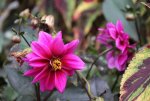 k-IMG_5739.JPG
