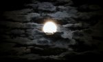 DSC03870.jpg