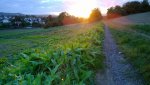 WP_20130922_19_10_53_Pro.jpg