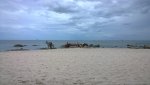 WP_20140805_13_00_01_Pro__highres.jpg