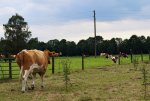 DSC03736.jpg