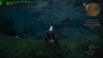 witcher3_2015_09_09_18_07_43_196.jpg