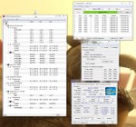 linx.jpg