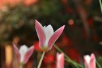 DSC_0055.jpg