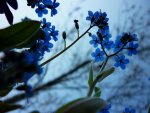 P1060422_1.jpg