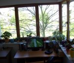 Green+IT by G3cko.jpg