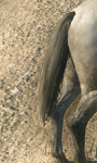 AA MGS 2.png