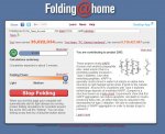 Folding_Team.JPG