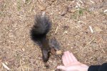 IMG_0834.jpg