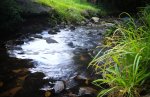 DSC04143.jpg