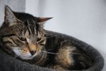 DSC04106.jpg