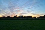 DSC04512.jpg