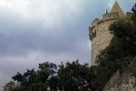 FlyPic08.jpg