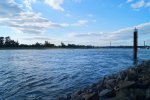 DSC04335.jpg