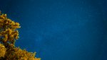 anderten_sterne-4.jpg