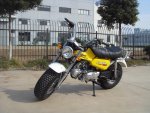 20851-Skyteam-T-Rex-125cc-3.JPG