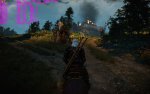 witcher3 2015-10-10 11-32-24-83.jpg